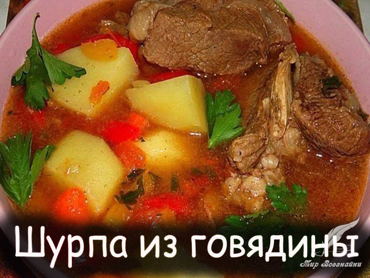 Рецепты салатов, первых блюд, закусок, вторых блюд, гарниров, закаток, выпечек, десертов и напитков | wowcook.net 
шурпа из баранины, классический пошаговый рецепт с фото | wowcook.net
