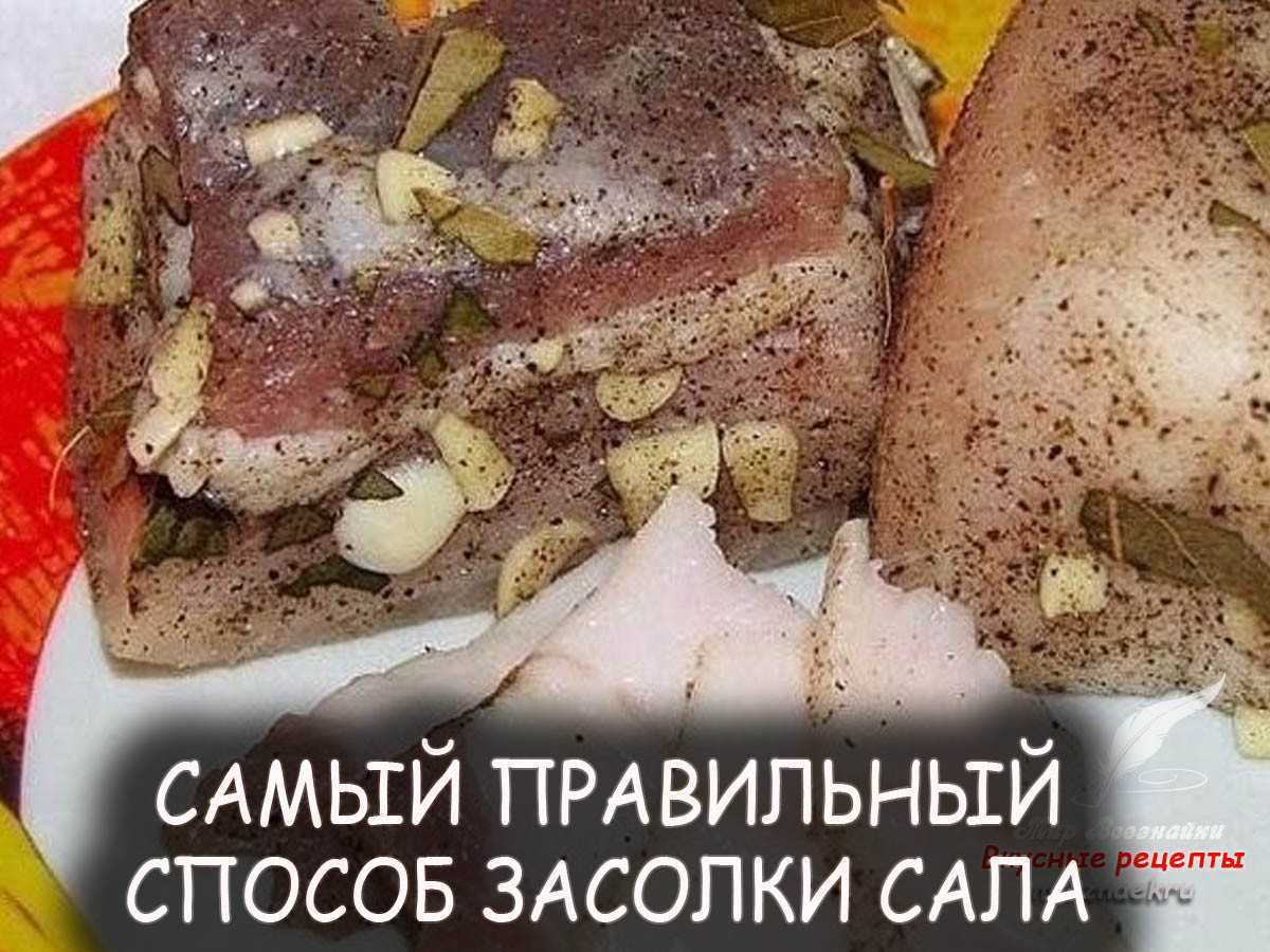 Засолка сала в домашних условиях: рецепты быстро и вкусно