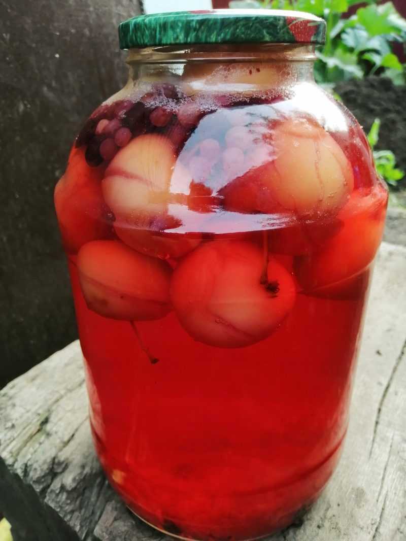Компот из яблок и красной смородины на зиму - пошаговый рецепт с фото |  консервирование