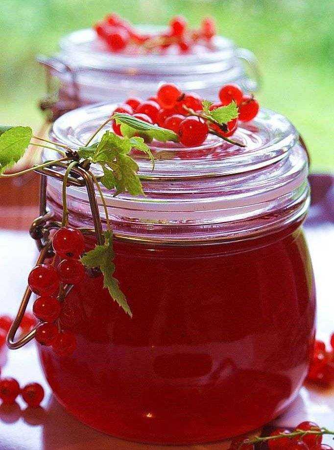 Красная смородина 8 рецептов и 3 секрета желе