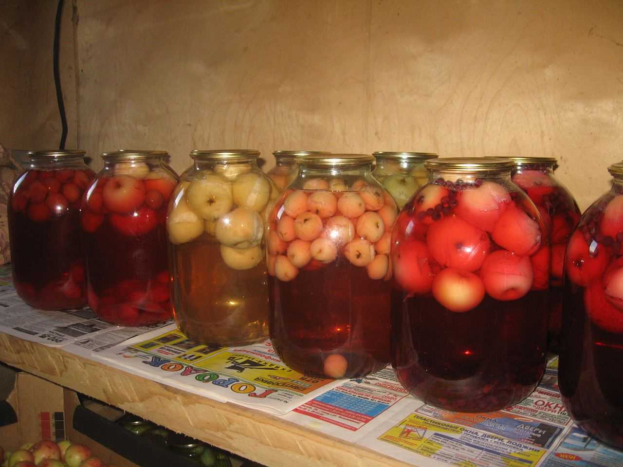 Компот из сливы — 12 простых и вкусных рецептов на зиму