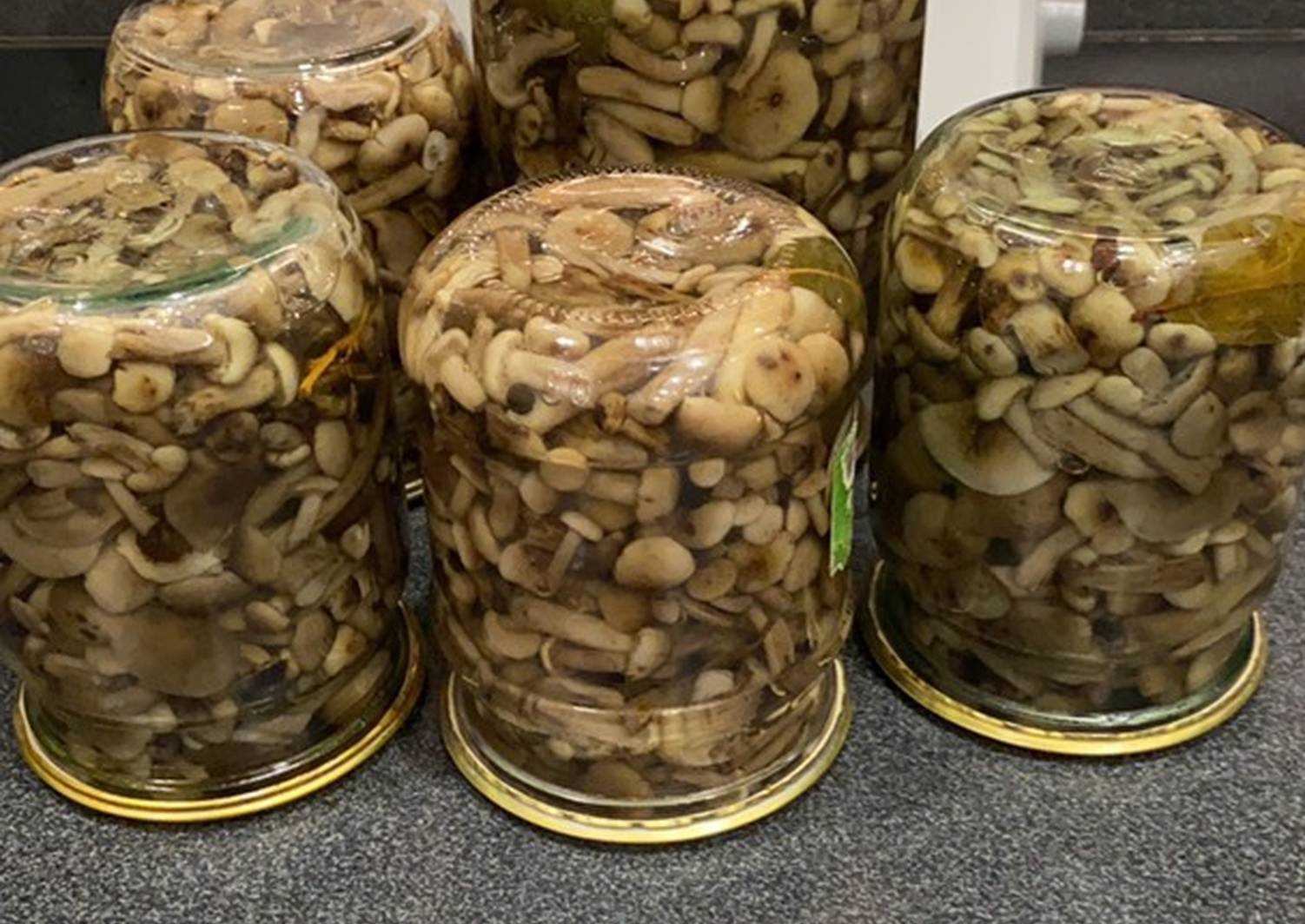 Маринованные опята на зиму  рецепт с пошаговыми фото