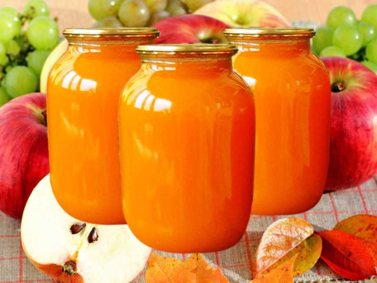 Тыквенный сок на зиму: простые и вкусные рецепты приготовления