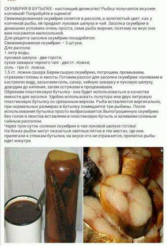 Как засолить скумбрию дома - семь рецептов на любой вкус
