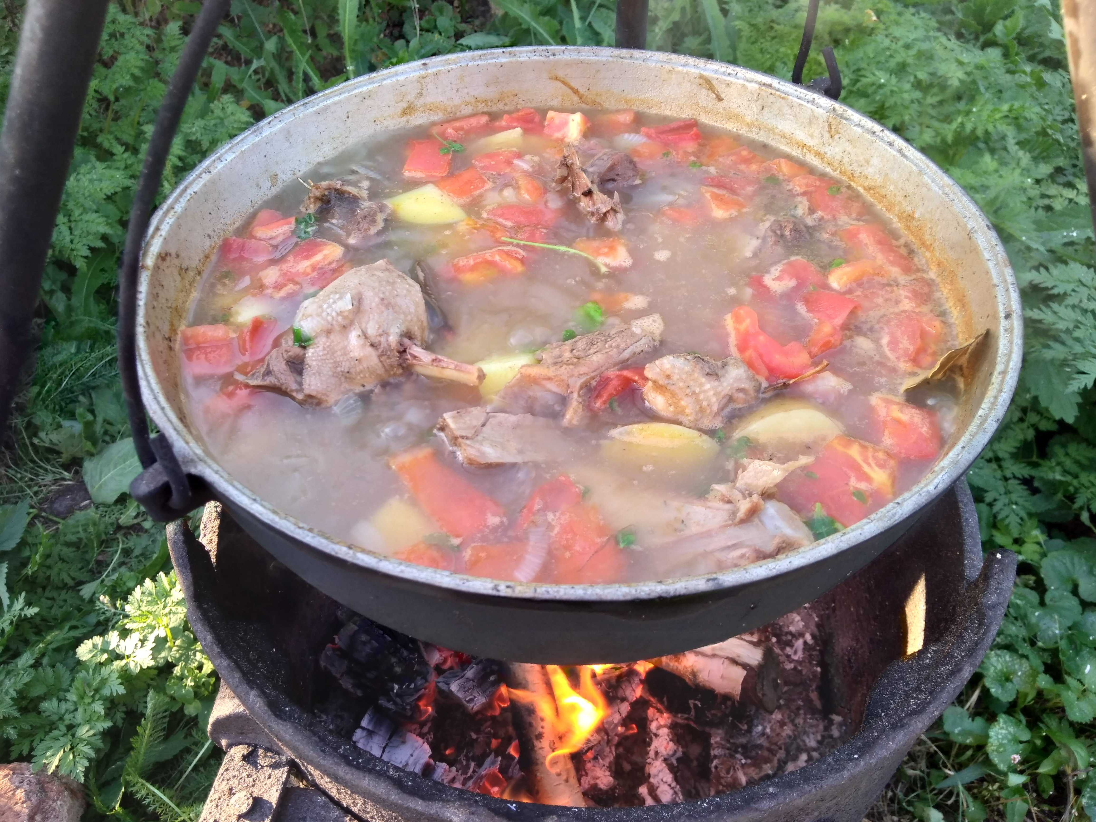 Рецепт шулюм из дикой утки
