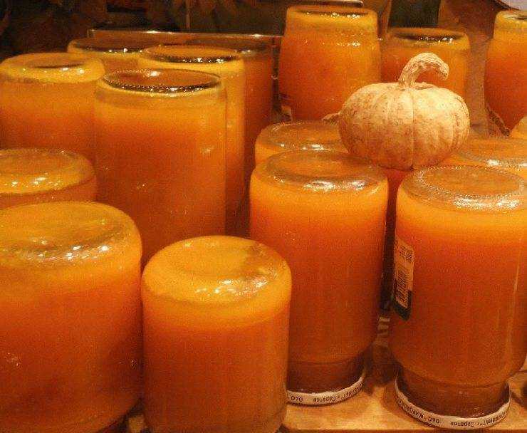 Тыквенный сок на зиму в домашних условиях (рецепты очень вкусного сока из тыквы)