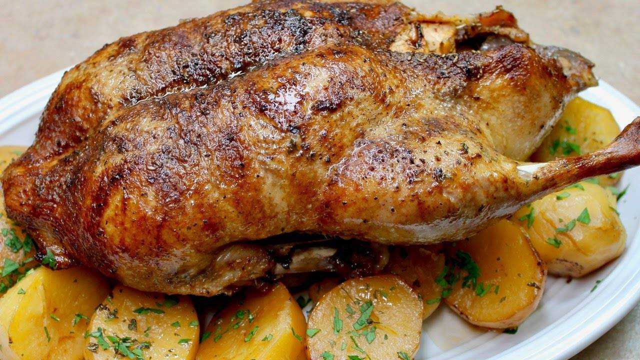 Как приготовить индоутку в духовке, чтобы мясо было мягким и сочным: пошаговые рецепты с фото, видео  :: рецепты :: клео.ру