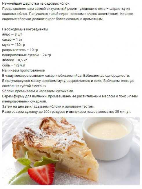 Шарлотка с яблоками в духовке: пышная и вкусная. 10 простых рецептов приготовления