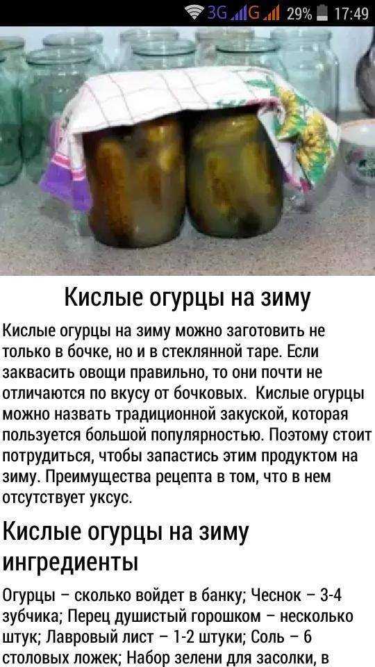 Как приготовить огурцы соленые на зиму холодным способом — классический рецепт