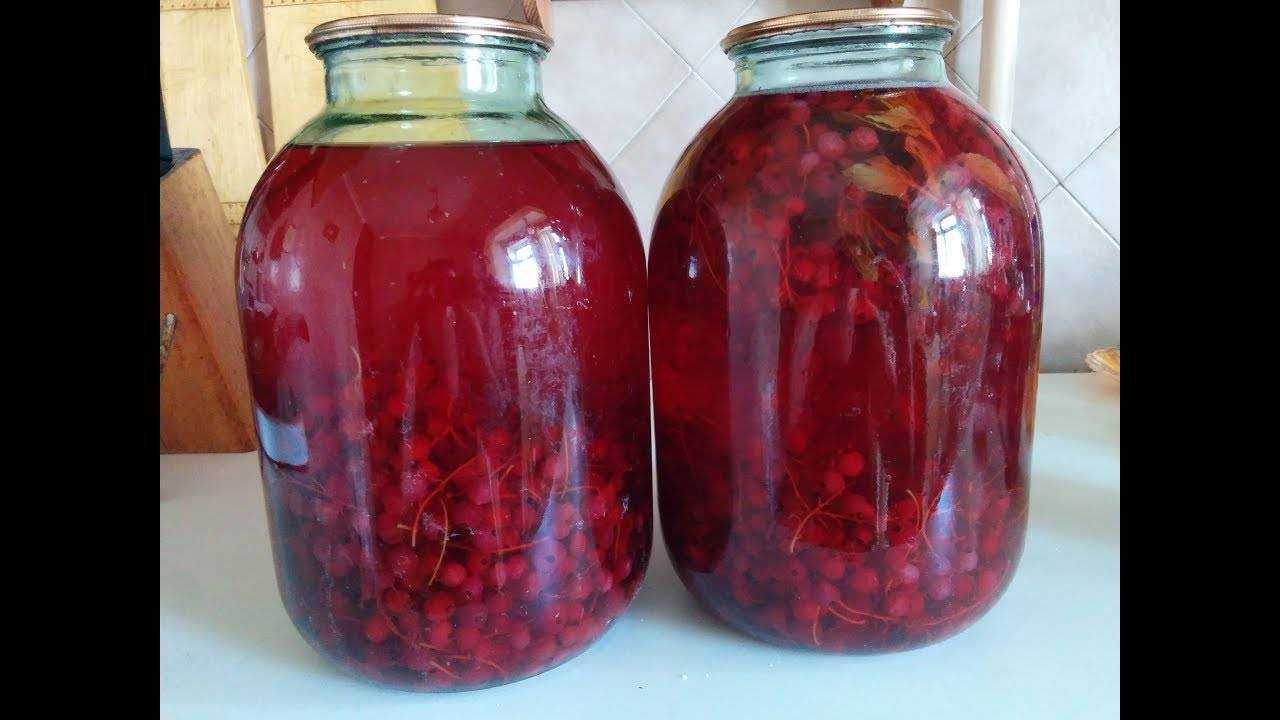 Компот из красной смородины пошаговый рецепт быстро и просто от ирины наумовой