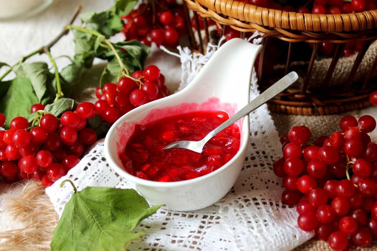 Калина с сахаром на зиму без варки: 7 лучших рецептов заготовок