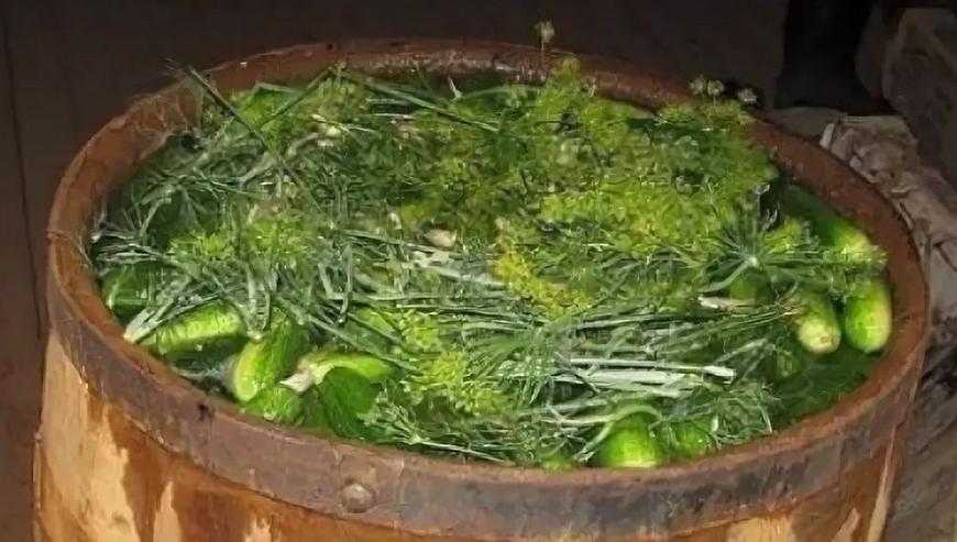 Хрустящие солёные огурцы на зиму в банках — 10 вкусных рецептов в домашних условиях