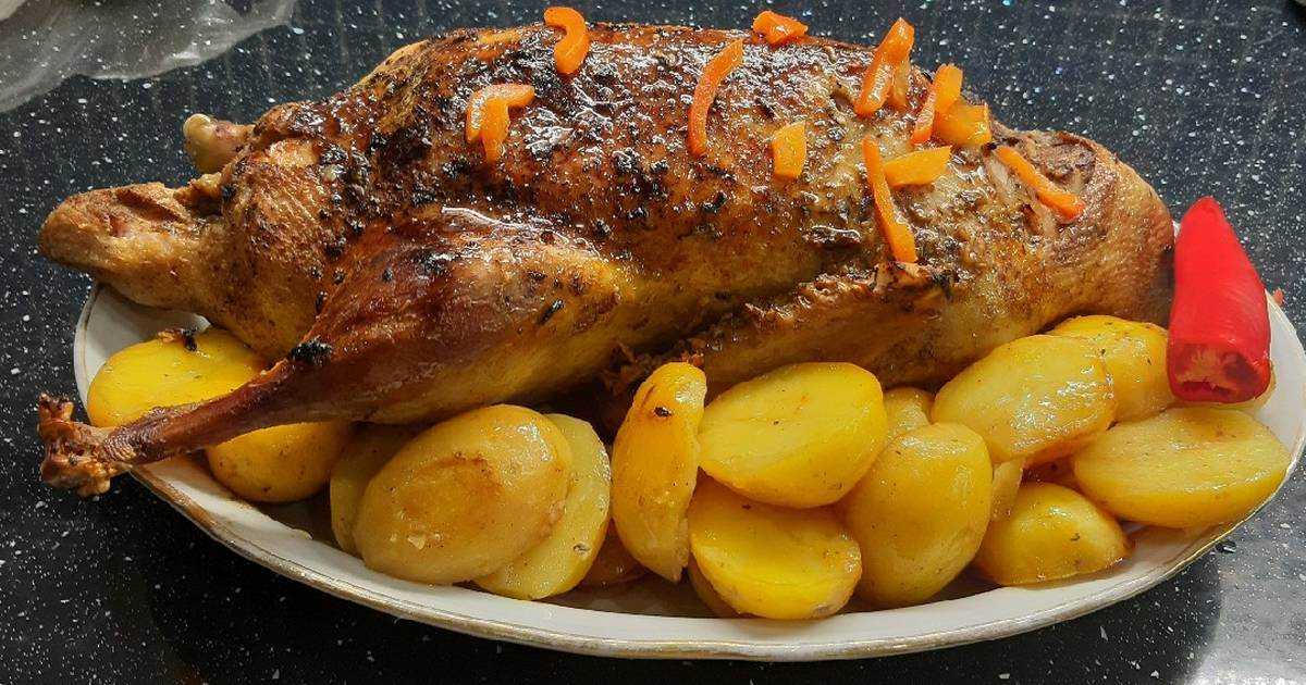 Утка с яблоками и апельсином. 2 вкуснейших рецепта: утка с яблоками и утка запеченная с апельсинами. | шедевры кулинарии
