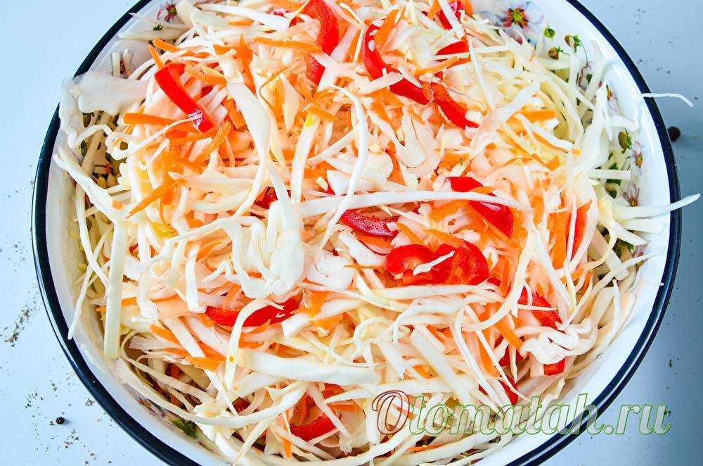 Маринованная капуста на зиму в банках: 10 лучших рецептов очень вкусной капусты