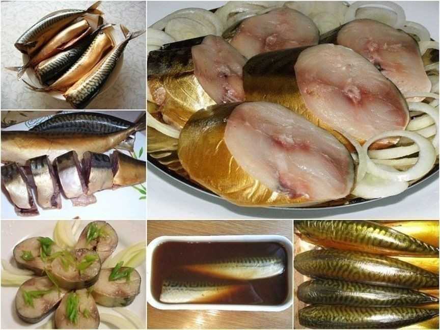 Скумбрия соленая - как засолить скумбрию в домашних условиях очень вкусно?