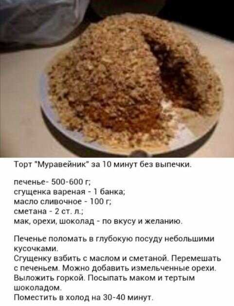 Торт из печенья без выпечки за 15 минут: рецепты очень сочных и вкусных тортов