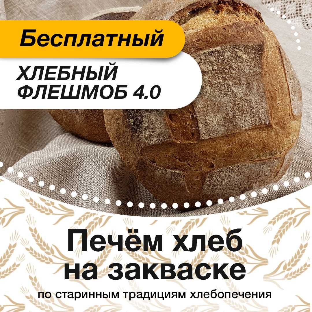 Пшеничная закваска для выпечки домашнего хлеба — изящество кулинарии