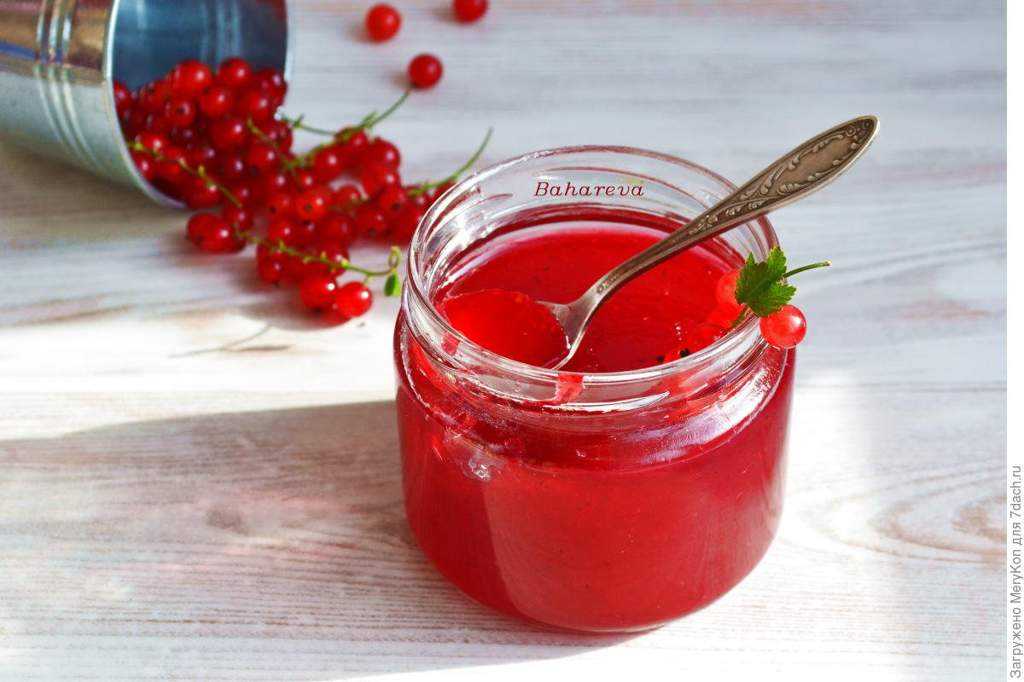 Желе из красной смородины на зиму — рецепты проще простого
