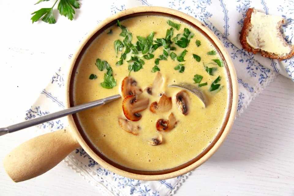 Рецепты приготовления вкусного супа с грибами опятами