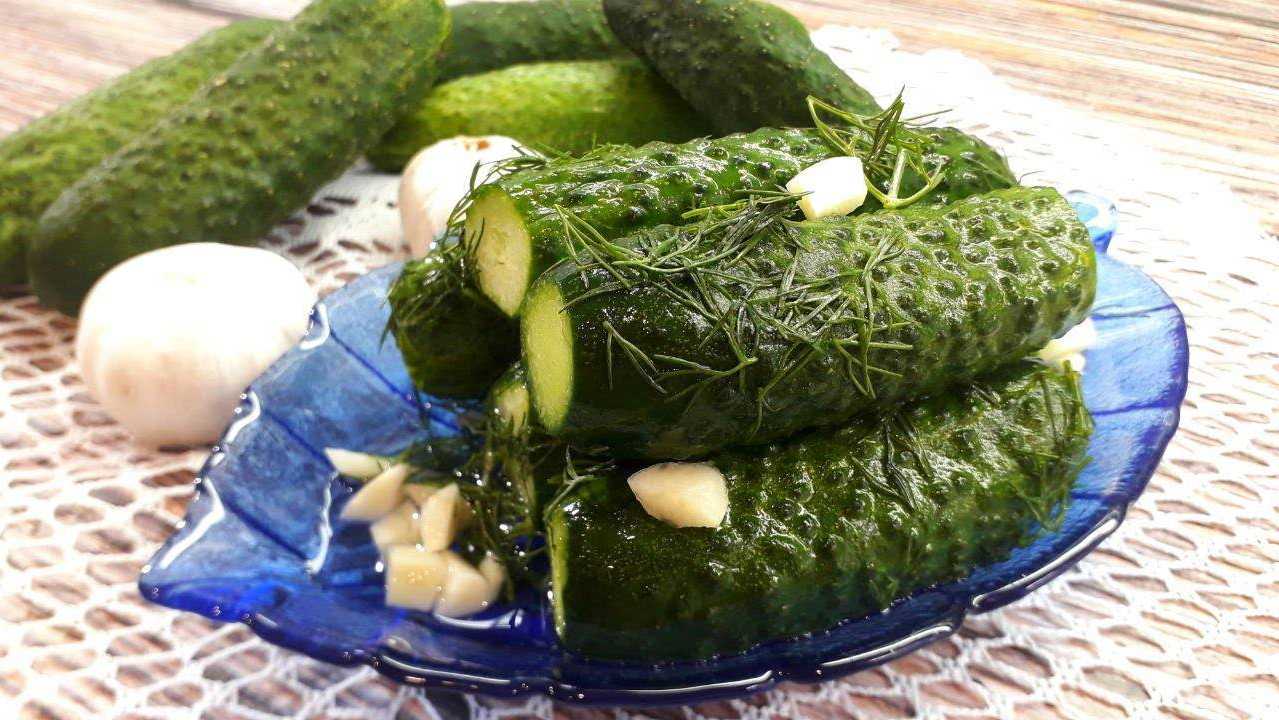 Малосольные огурцы в банке: 6 рецептов как засолить вкусные и хрустящие огурцы