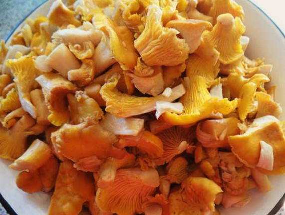 Как приготовить лисички: вкусно и быстро 7 рецептов