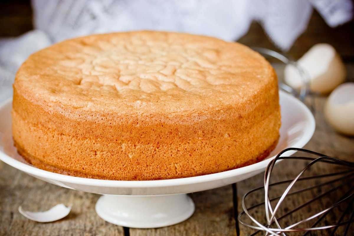 Аджика из помидоров и чеснока : 8 классических рецептов вкусной аджики