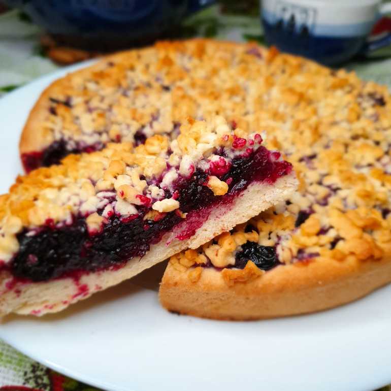 Пирог с черной смородиной – 10 вкусных рецептов приготовления