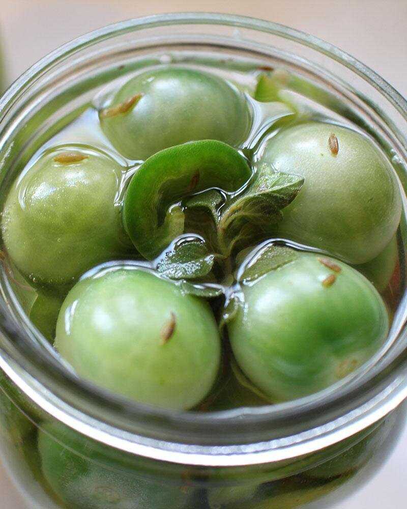 Зеленые помидоры на зиму — самые вкусные и простые рецепты