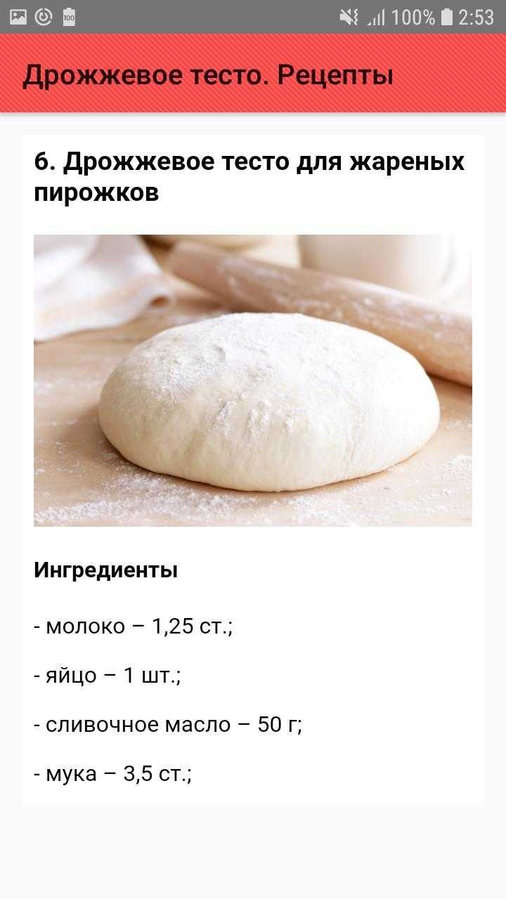 Дрожжевое тесто для пирожков с сухими дрожжами на молоке с рецептом и фото