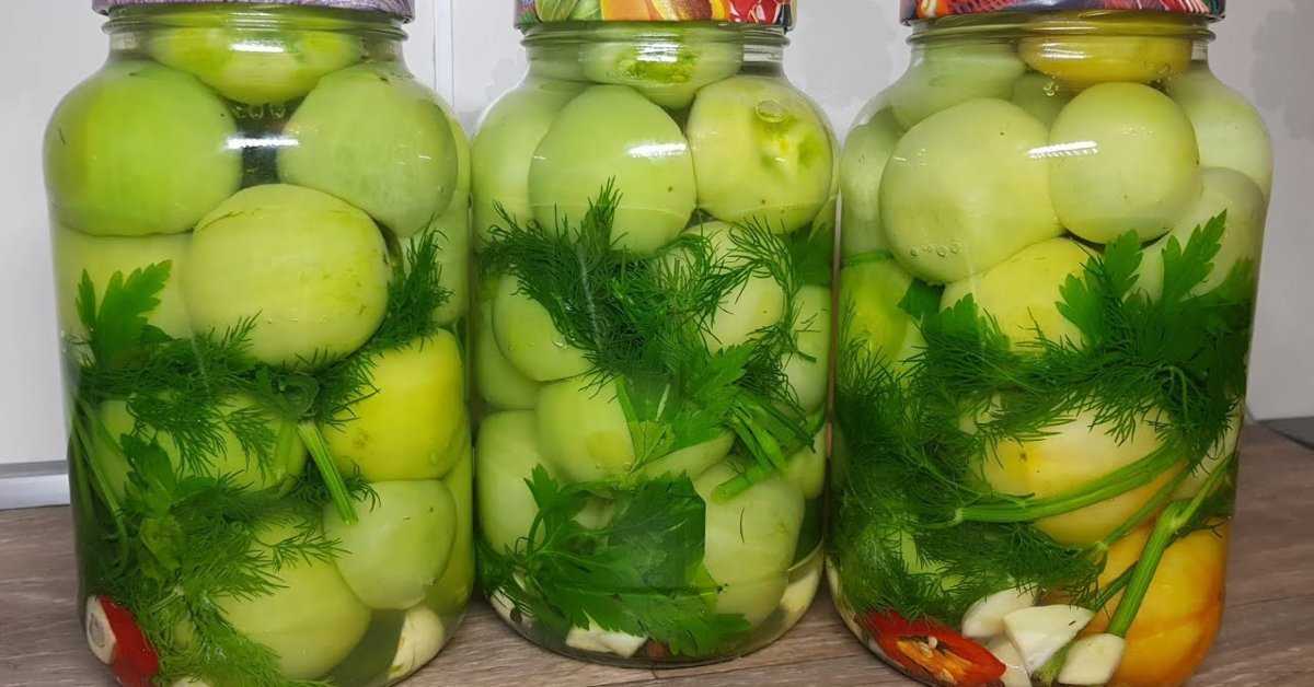 Маринованные зеленые помидоры на зиму – 7 простых рецептов