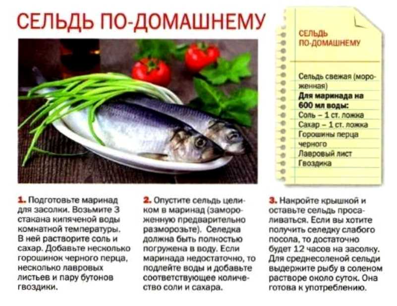 Как засолить селедку в домашних условиях три рецепта с фото пошагово вкусная кухня