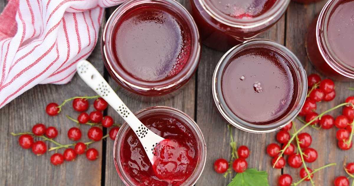 Желе из красной смородины на зиму - рецепты проще простого