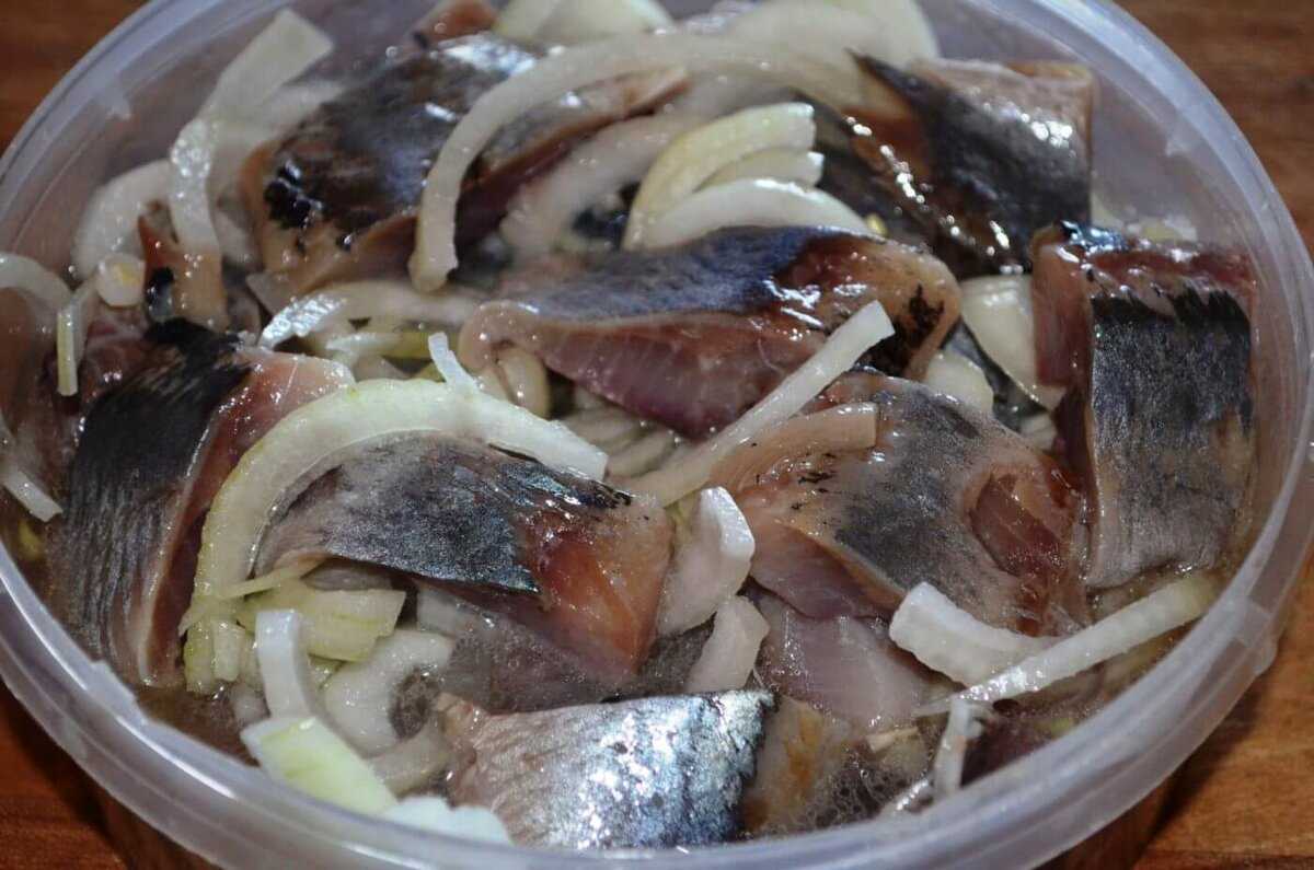 Соленая скумбрия в домашних условиях — очень вкусные и несравненные рецепты