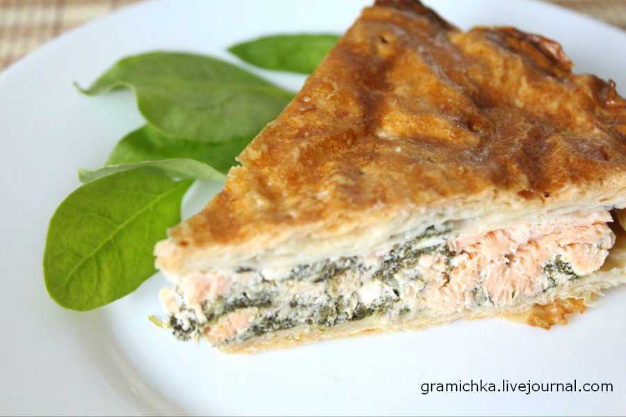 Пирог с щавелем. 6 вкусных рецептов щавелевого пирога