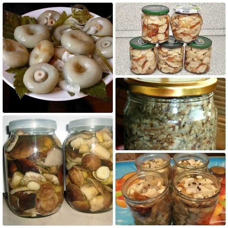 Опята на зиму: 15 быстрых и вкусных рецептов заготовок