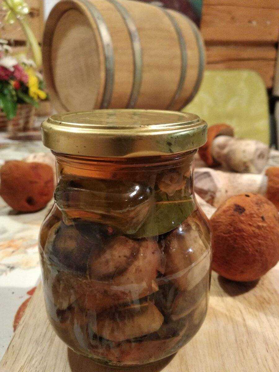 Самые лучшие рецепты засолки грибов: простые и вкусные способы как солить лесные грибы в банках, кастрюле, ведре и под гнетом в домашних условиях. какие грибы подходят для засолки, и сколько дней солят грибы? | qulady