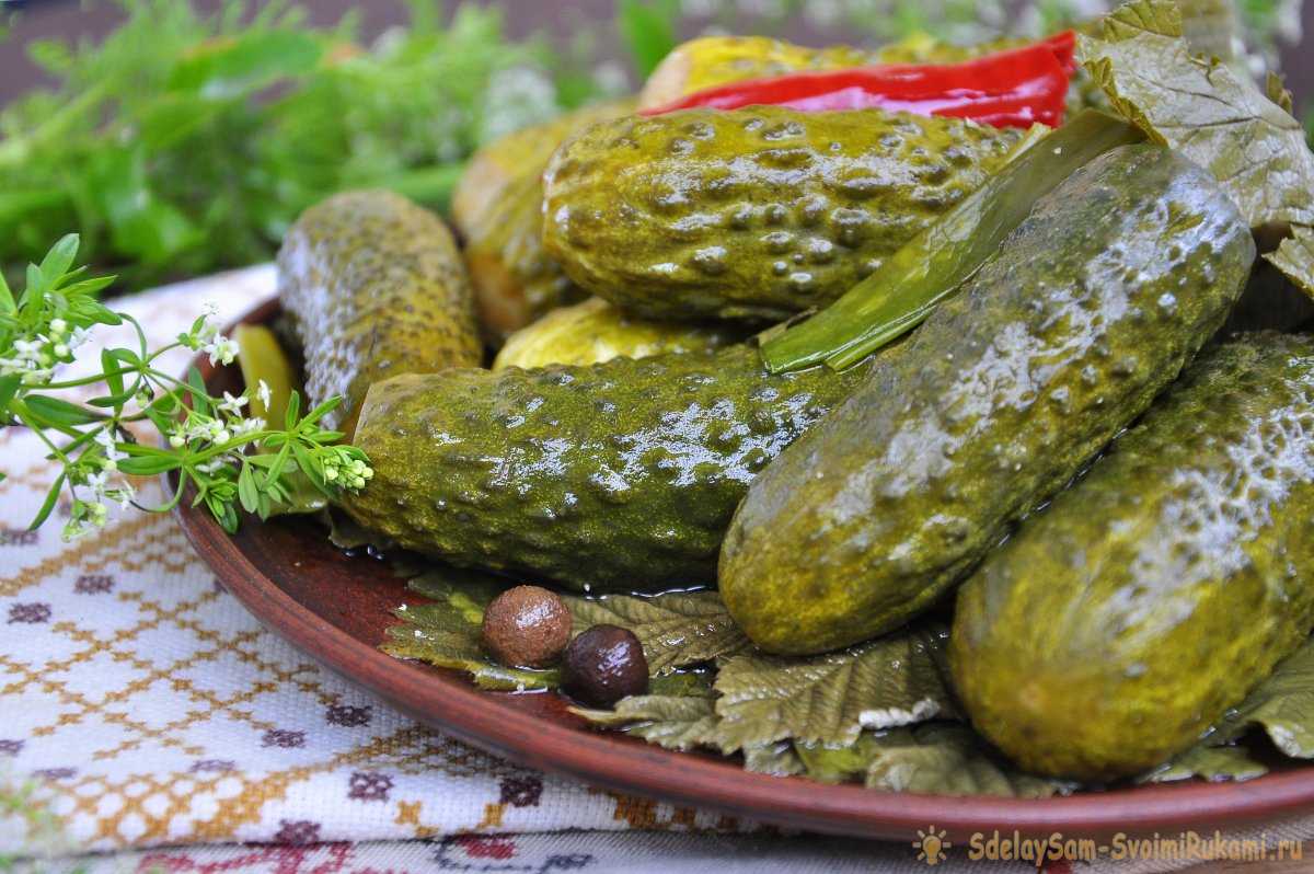 Малосольные огурцы - классические рецепты
