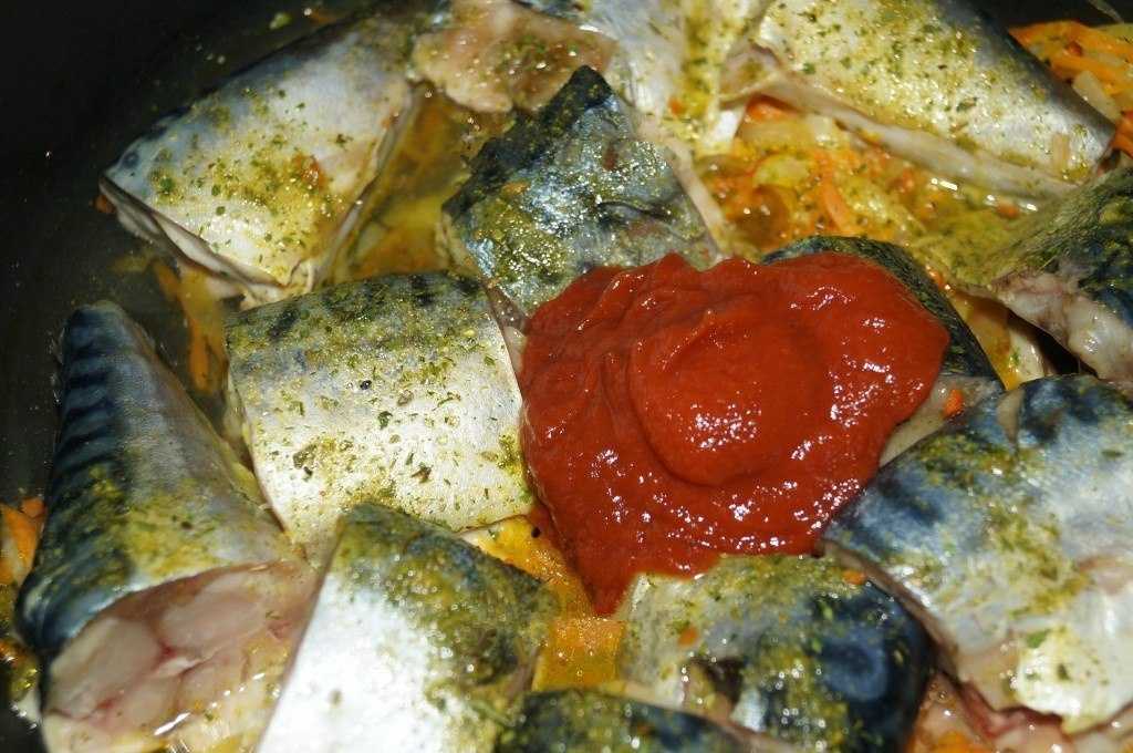 Скумбрия в томатном соусе – 9 рецептов