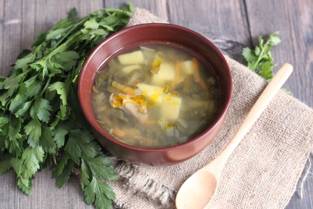Суп со щавелем на мясном бульоне - классический рецепт