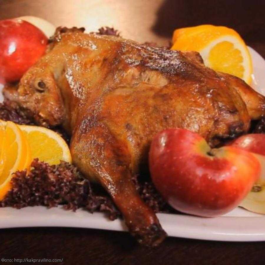 Утка с яблоками в духовке: самые вкусные рецепты приготовления