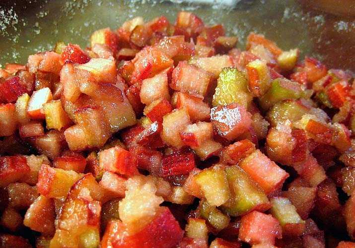 Пирог с ревенем – 8 вкусных рецептов