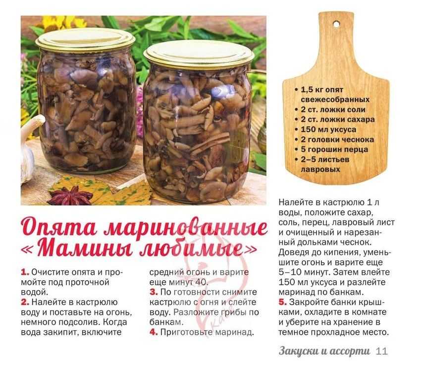 Маринованные опята на зиму: топ-7 рецептов, пошаговое приготовление