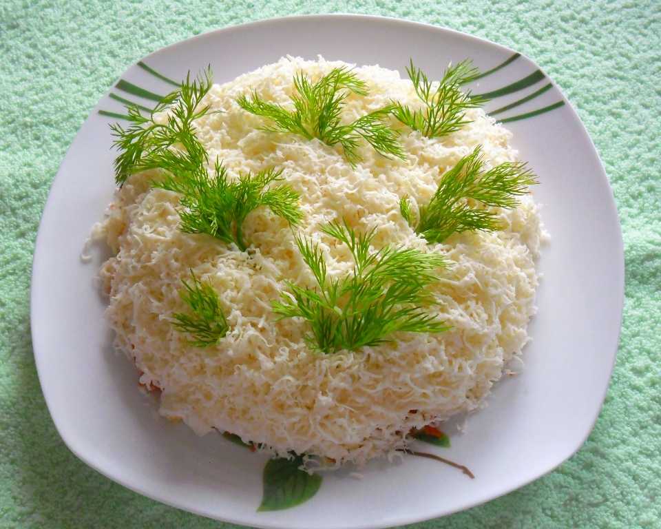 Салат черепаха - классические рецепты салатов черепашки с курицей