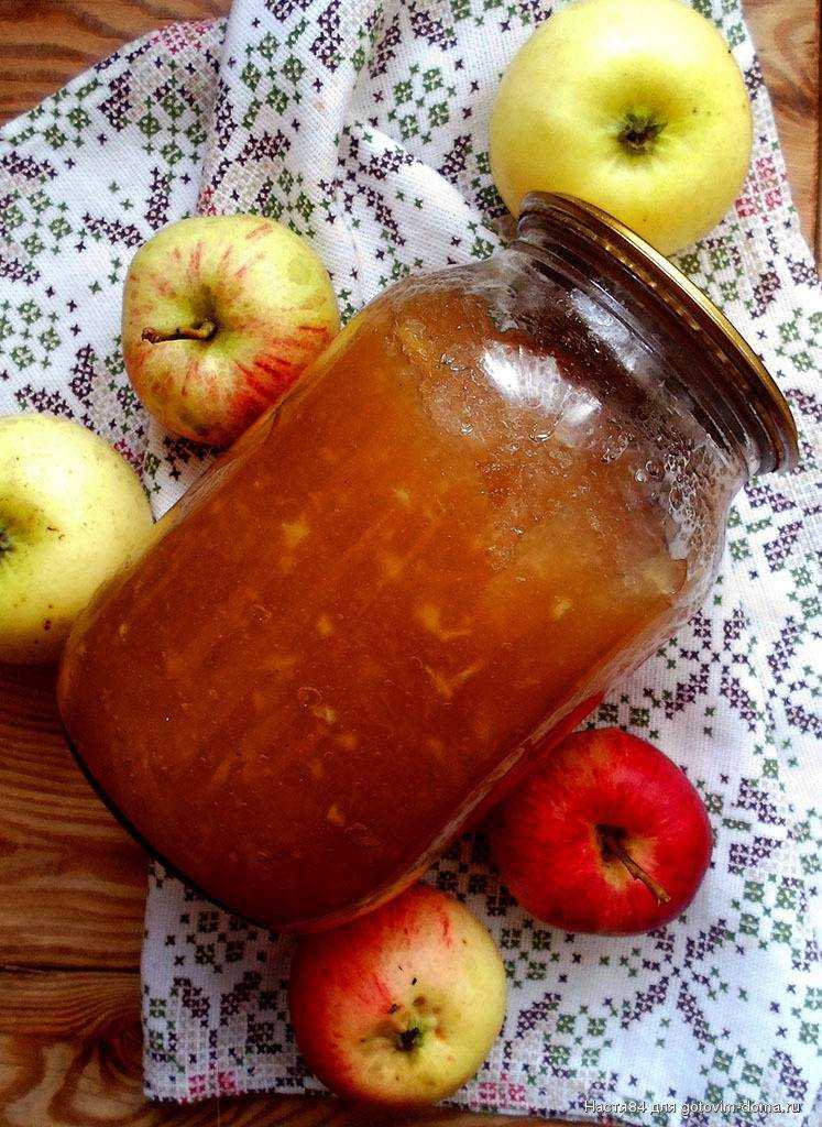 Яблочное повидло на зиму: топ-9 самых вкусных рецептов