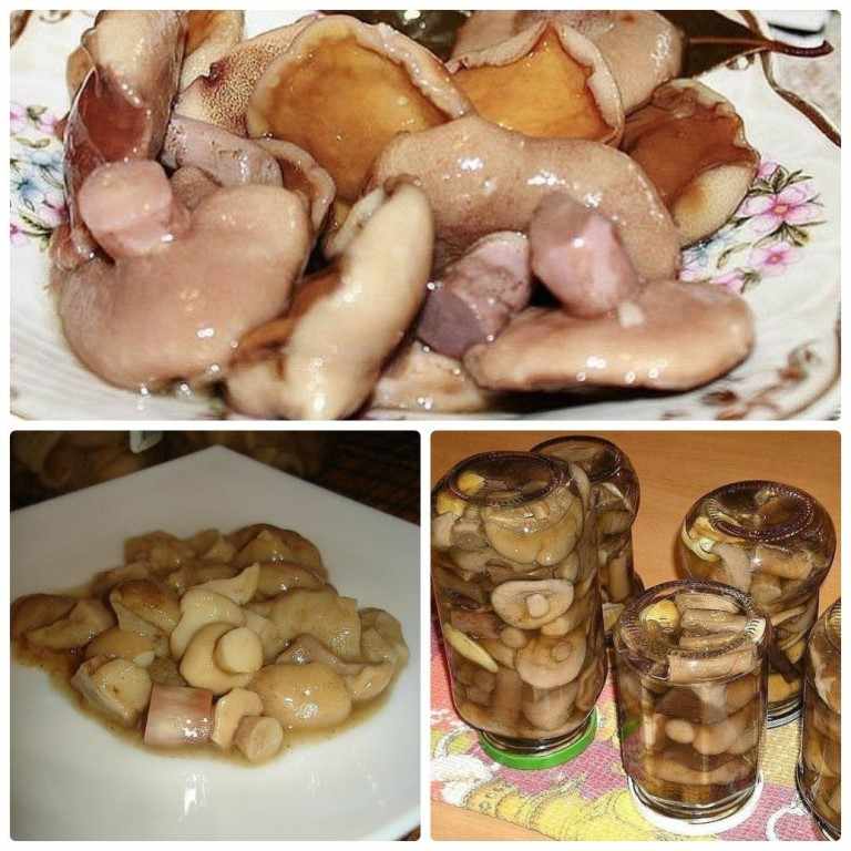 Как мариновать маслята на зиму в банках - просто и вкусно