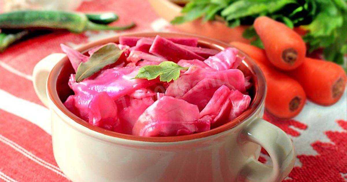 Засолка капусты со свеклой: полезные хитрости и вкусные рецепты | моя кухня