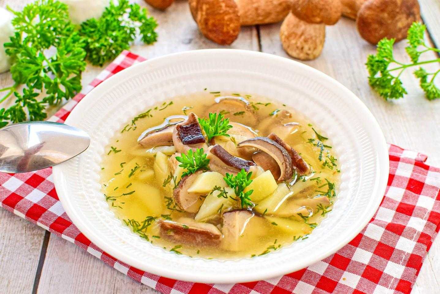Супы из белых грибов, 52 рецепта, фото-рецепты