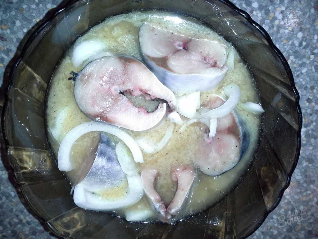 Как засолить скумбрию в домашних условиях - 7 вкусных и быстрых пошаговых рецептов