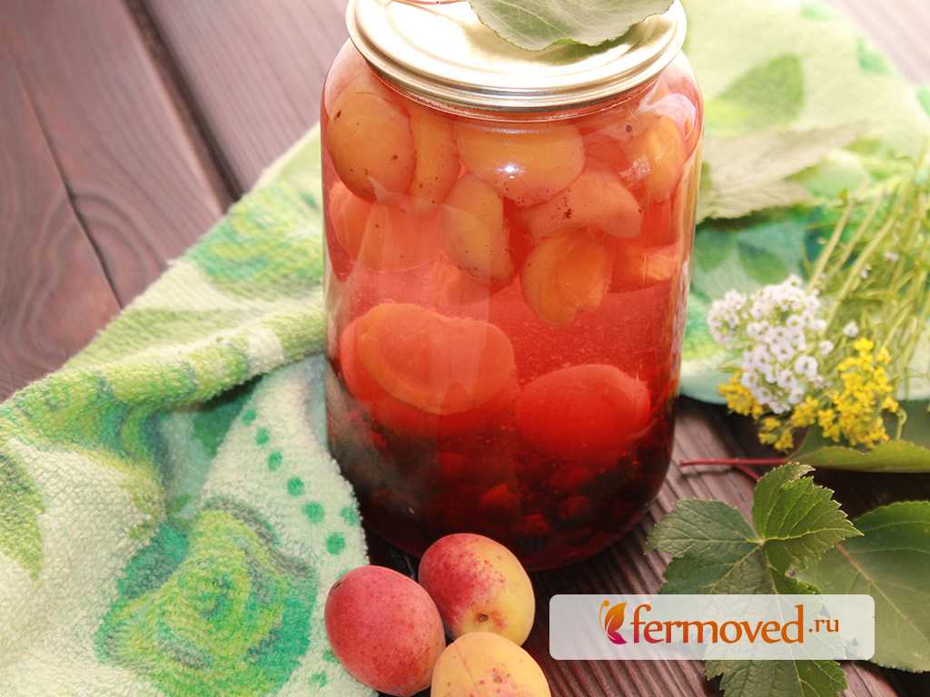 Компот из яблок и смородины на зиму: рецепты с красной и черной ягодой, из замороженных заготовок, а также правила и сроки хранения