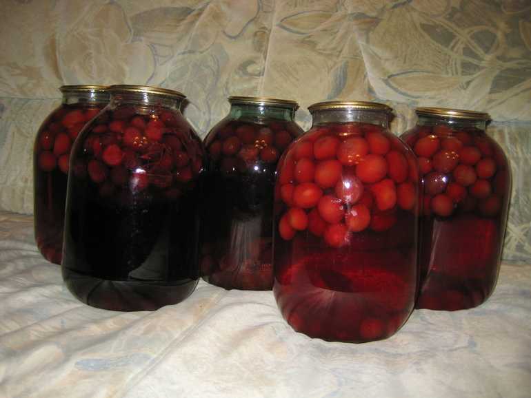 Компот из сливы на зиму — 12 быстрых и вкусных рецептов